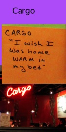 whats on your mind cargo cafe?